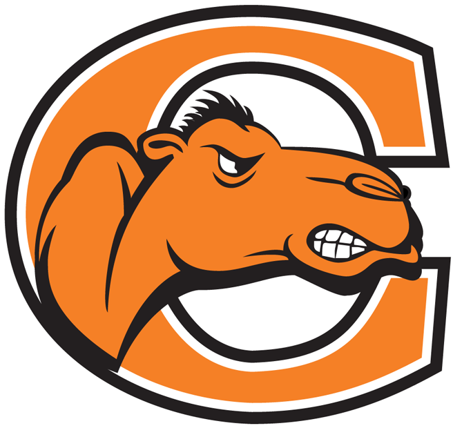Campbell Fighting Camels 2005-2007 Primary Logo DIY iron on transfer (heat transfer)